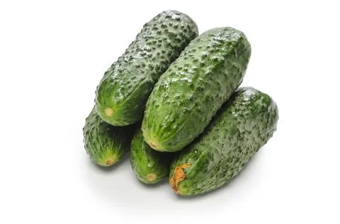 Cucumbers on white background with soft shadow Stock Photos