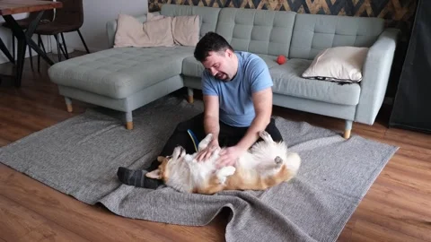 Cuddle Time Man Enjoys Quality Moments of Affection with His Beloved Dog at Home Stock Footage 301793156
