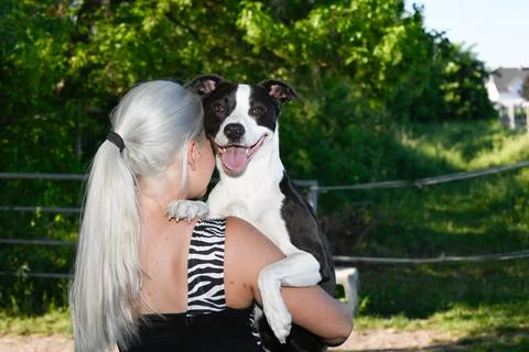 Cuddling Dog Stock Photos