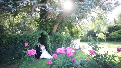 Cuddling Under The Hedge Arch Stock Footage 114880878