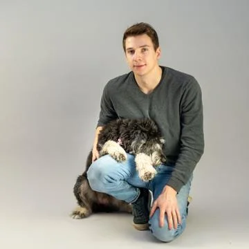 Cuddly dog Stock-Fotos