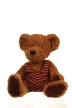 Cuddly teddy bear Foto stock