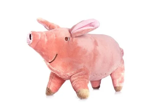 Cuddly toy in studio Foto stock