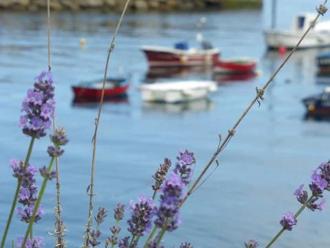 Cudillero Stock Photos
