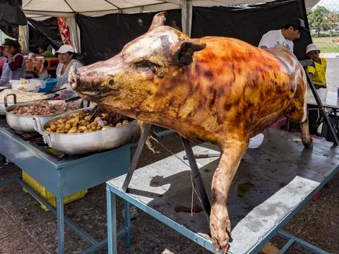 Cuenca, Ecuador - November 2, 2017 - Roast pig is on display for lunch at a f Stock Photos