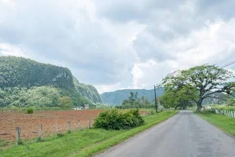 At Cuevas de los Cimarrones Stock Photos