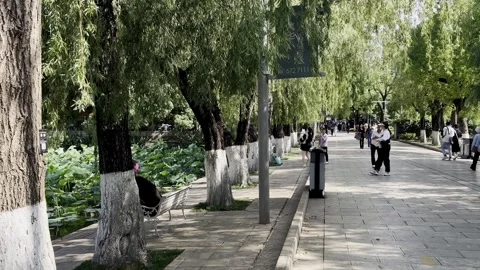 Cuihu Park in Kunming Stock Footage 244046296