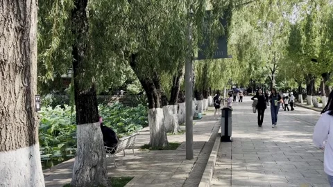 Cuihu Park Kunming Stock Footage 244046487