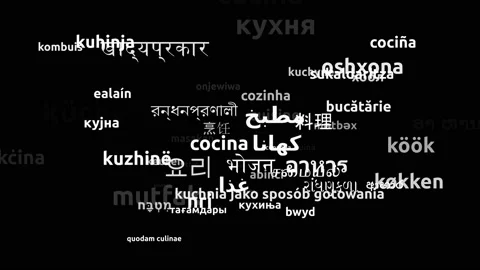 Cuisine Translated in 61 Worldwide Languages Endless Looping 3d Zooming Wordc Stock-Footage 145194992