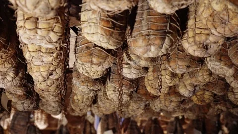 Culatello di Parma in the cellar Stock Footage 255325517