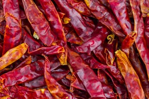 Culinary base dry flat pods of hot peppers lots of fruit base seasoning backg Stock Photos
