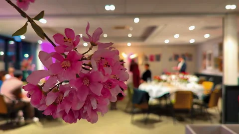 Culinary buffet. Dinner. Catering. Dining. Celebration Party Concept Stock Footage 302309238