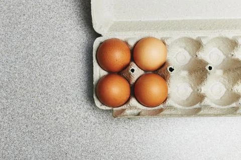Culinary class in a kitchen. Four tinted brown chicken eggs in an open carton Stock Photos