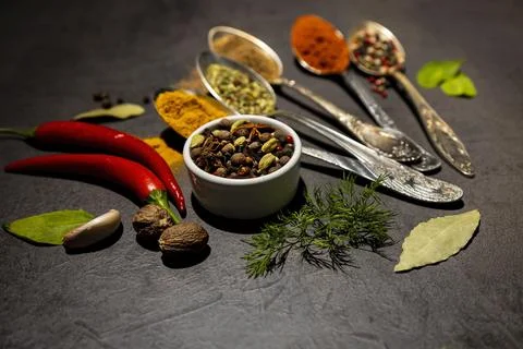 Culinary condiments. Various herbs and spices with old metal spoons on a dark 库存照片
