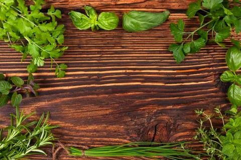 Culinary herbs background with copy space. Stock Photos