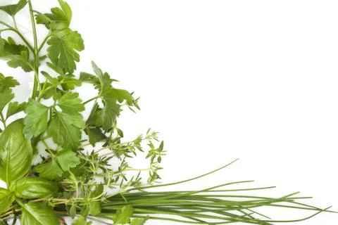 Culinary herbs background with copy space. Stock Photos