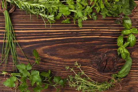 Culinary herbs background with copy space. Fresh basil, cilantro, chive, pa.. Stock Photos