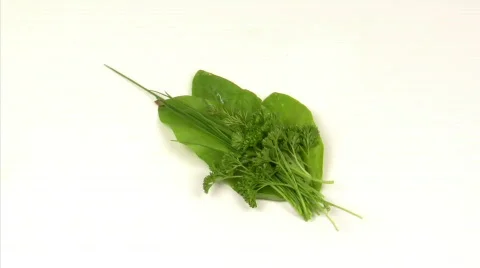 Culinary herbs Stock Footage 810864