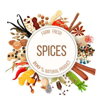Culinary spices big set Stock Illustration