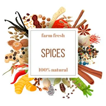 Culinary spices big set under squire emblem Stock Illustration