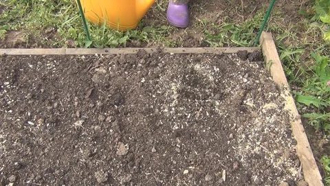 Cultivate and plow the soil by a fork Stock Footage 77920689