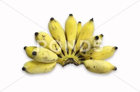 Cultivated banana Stock Photos