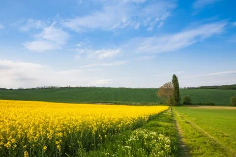 Cultivated farm fields Stock Photos