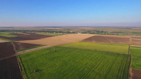 Cultivated field from drone point of view, countryside landscape aerial view Stock Footage 65579566