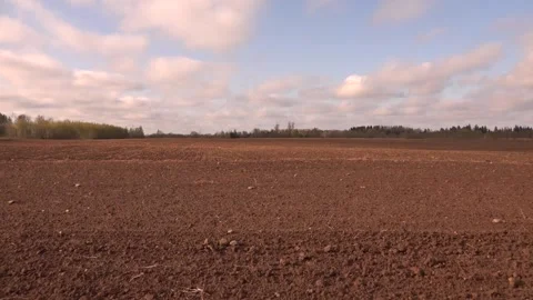 Cultivated Field in the summer Stock Footage 239642083
