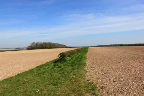 Cultivated fields and hedgerows in springtime landscape Stock Photos
