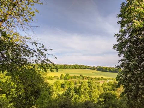 Cultivated fields and wild trees in the countryside on a spring day Stock Photos