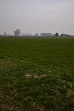 Cultivated fields with bare trees in the distance in the italian countryside  Stock Photos