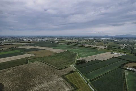 Cultivated fields creating geometric patterns in po valley, italy 스톡 사진