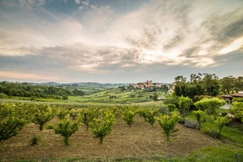 Cultivated fields dominated by Castle Stock Photos
