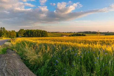Cultivated fields in Dzimierz Stock Photos
