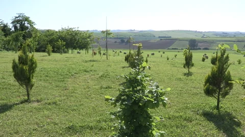 Cultivated fields Stock Footage 59695604