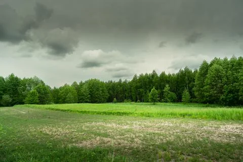 Cultivated fields in front of the forest on a cloudy day Stock Photos