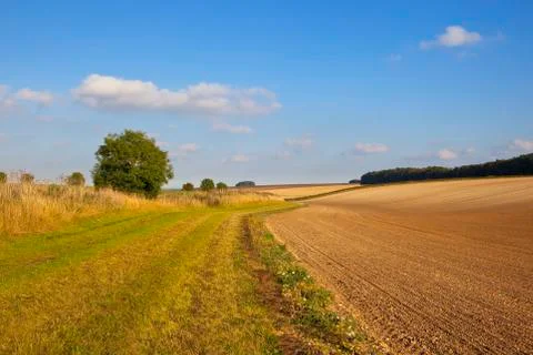 Cultivated fields Stock Photos