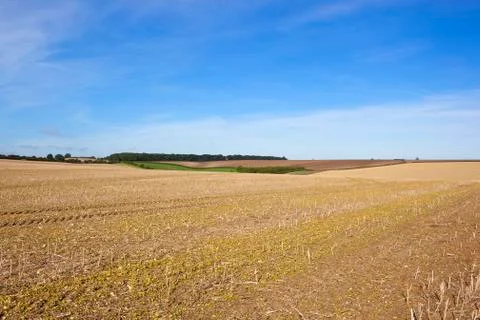 Cultivated fields Stock Photos