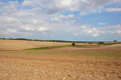 Cultivated fields Stock Photos