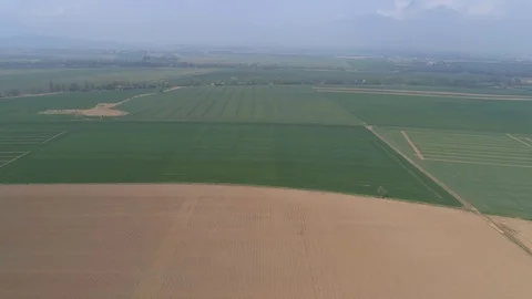Cultivated fields in spring, aerial view Stock Footage 123651707