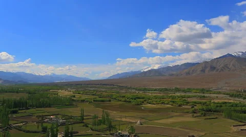 Cultivated fields in the valley Stock Footage 43020240