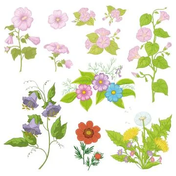 Cultivated flowers, set Stock Illustration