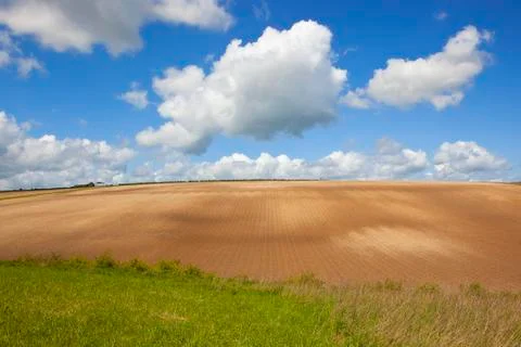 Cultivated hillside Stock Photos