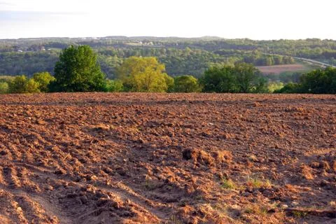 Cultivated Stock Photos