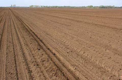 Cultivated soil Foto stock