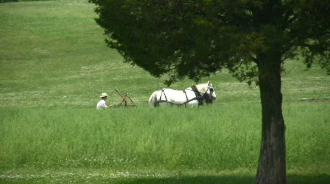 Cultivating the field Stock Footage 98148