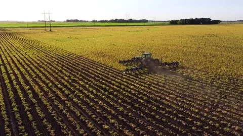 Cultivating Soy Bean Field Video stock 78613151