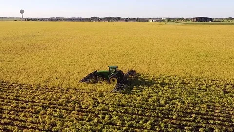 Cultivating Soy Bean Field Stock Footage