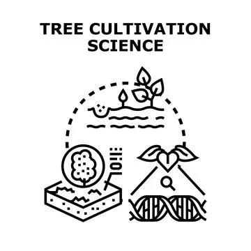 Cultivating trees using modern science and plant biotechnology Ilustración de archivo